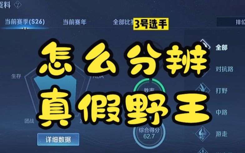 看完这个视频,防骗防盗防小人,对战力不了解的也统统看过来电子竞技热门视频