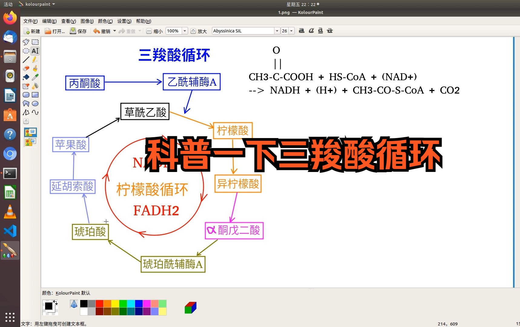 科普一下三羧酸循环哔哩哔哩bilibili