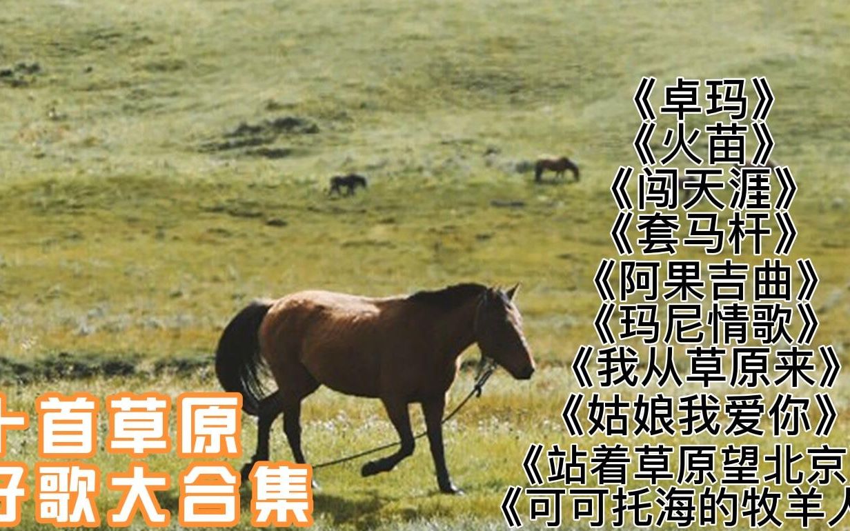 [图]十首超好听草原歌曲大合集，天籁之音，百听不厌，让您一次听过瘾