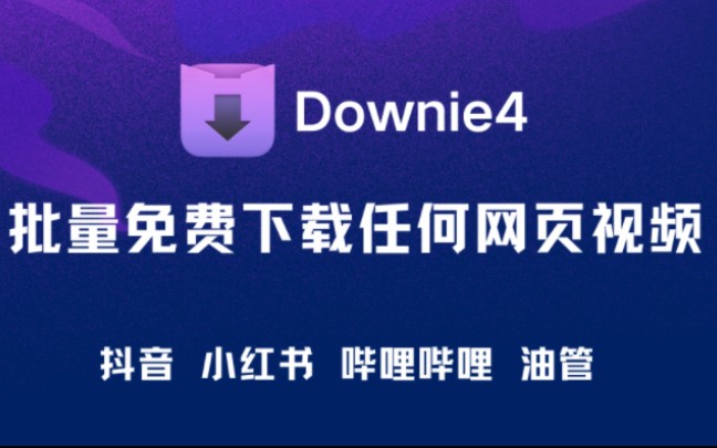 视频下载神器,免费批量下载任何主页视频,网页视频,自媒体必备哔哩哔哩bilibili