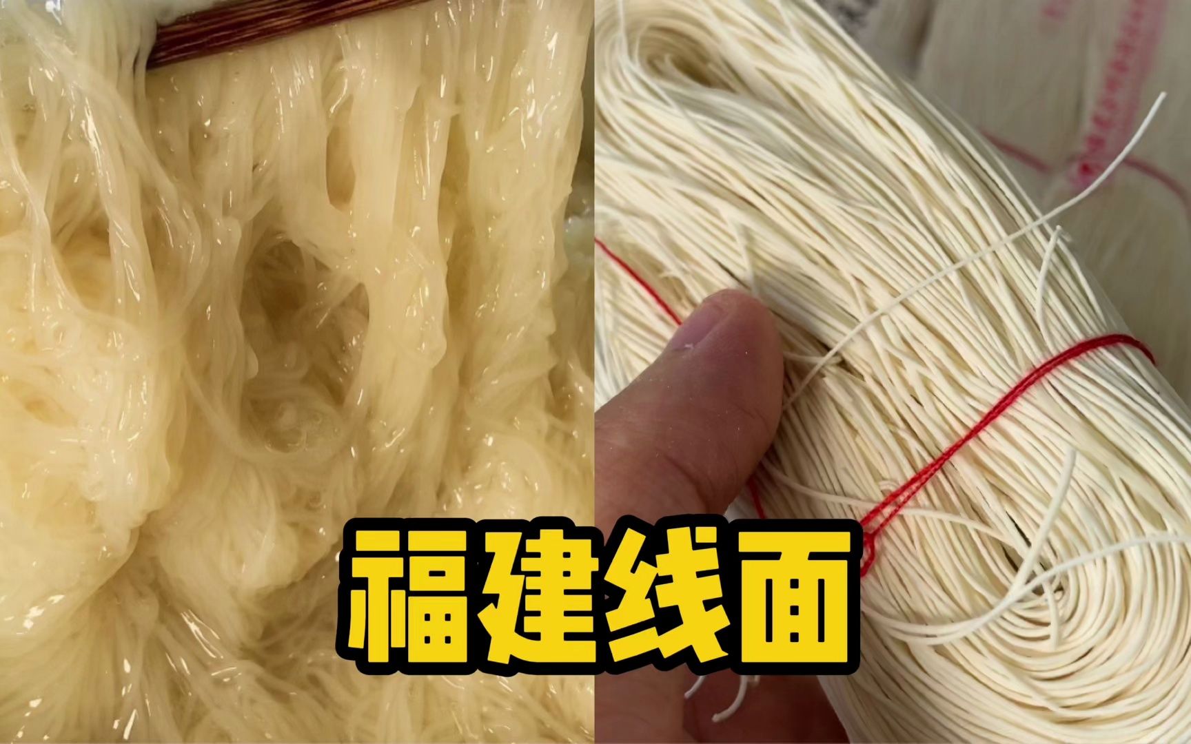 天呐!它会在胃里繁殖吗?-董三万Meal-董三万Meal-哔哩哔哩视频