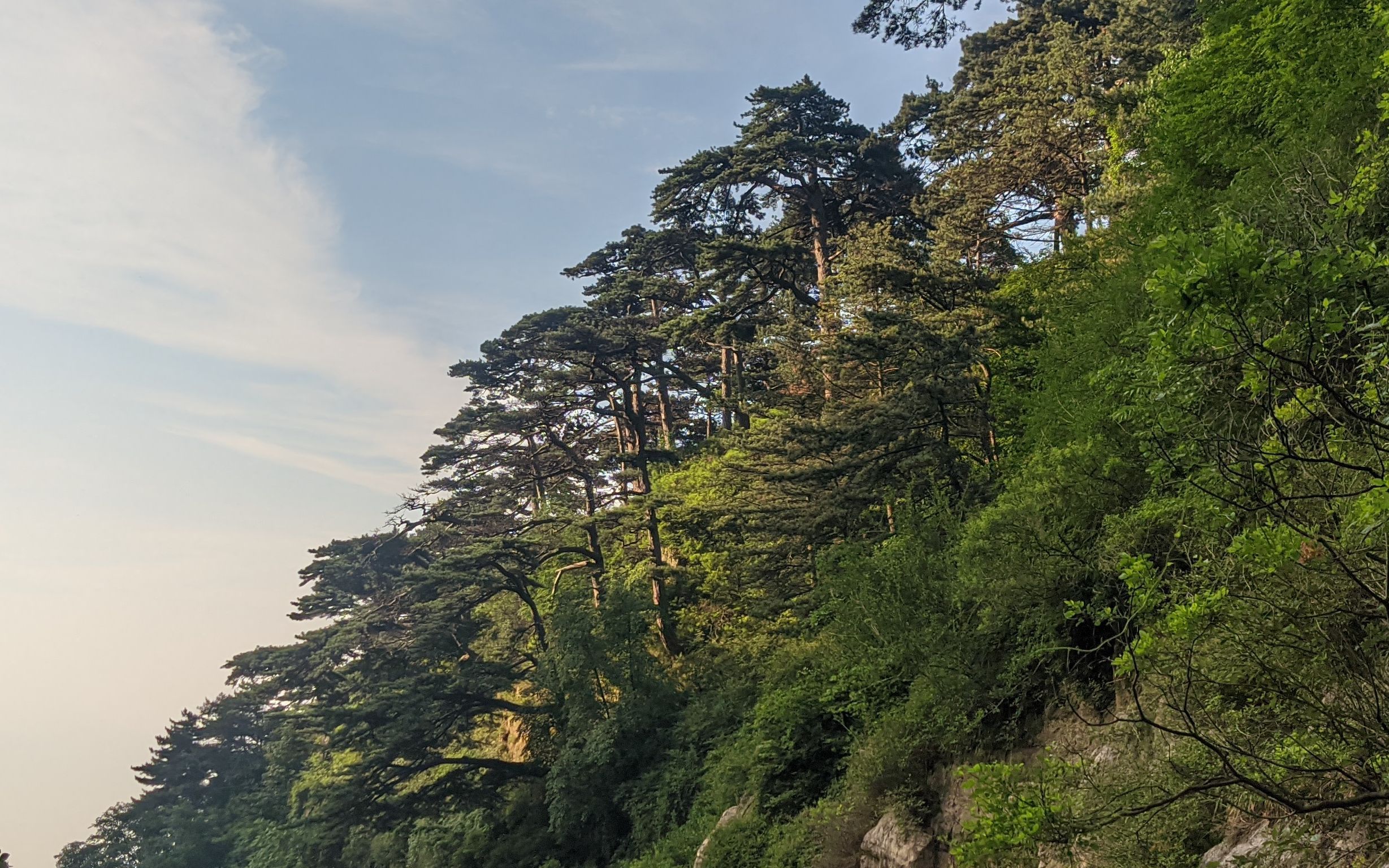 [图]八人泰山之旅---在泰山顶的毕业照