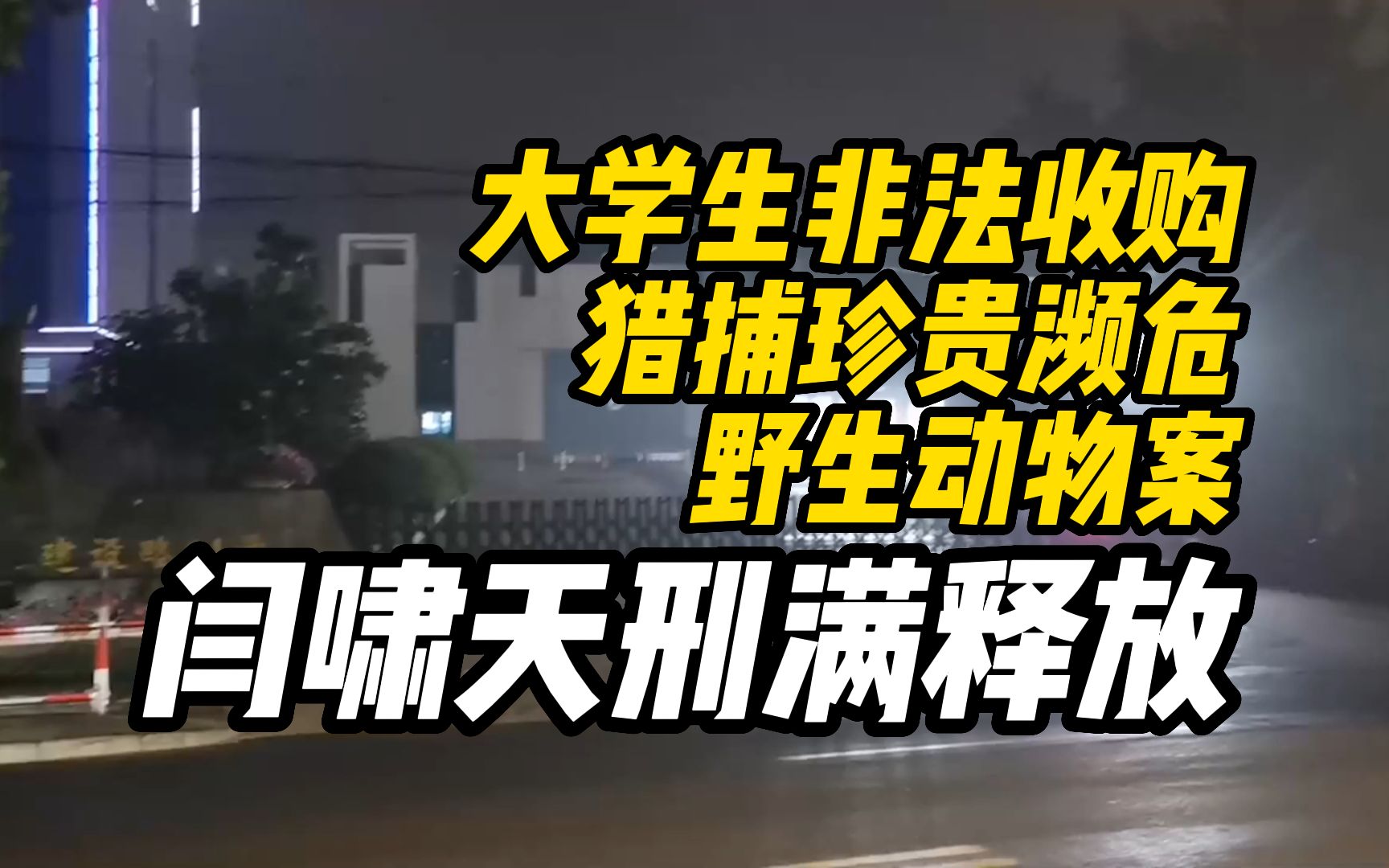 大学生非法收购、猎捕珍贵濒危野生动物案当事人闫啸天刑满释放,父亲:孩子很累想让他休息哔哩哔哩bilibili