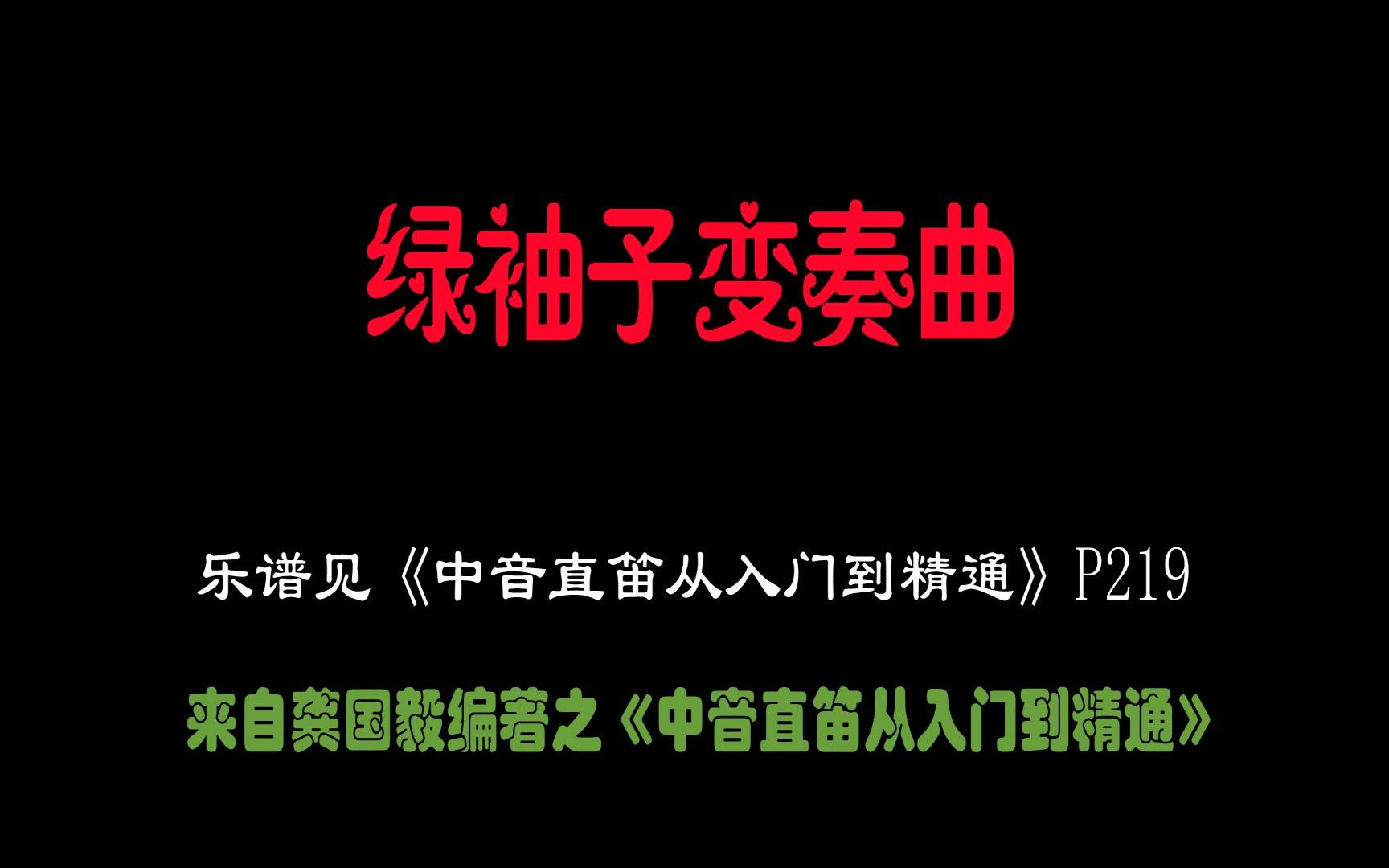 绿袖子变奏曲《中音直笛从入门到精通》教学配套视频哔哩哔哩bilibili