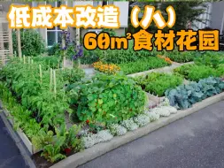 Download Video: 低成本改造食材花园丨我也拥有莫奈之窗啦！