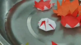 神奇的纸花 一下水就开花了 好美 哔哩哔哩 つロ干杯 Bilibili