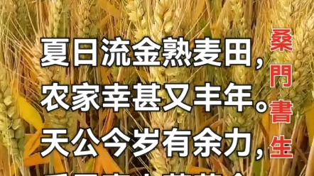 七绝•夏收在望作者/桑门书生夏日流金熟麦田,农家幸甚又丰年.天公今岁有余力,瓜果喜人蔬菜全.西元2023年5月24日麦黄季节.哔哩哔哩bilibili