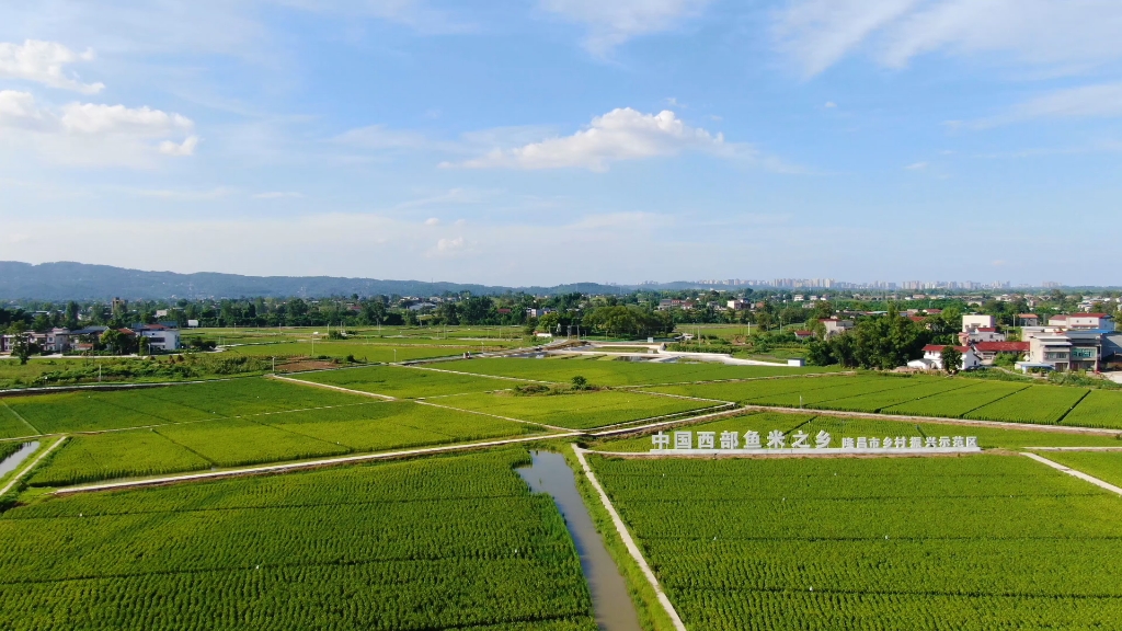 中国鱼米之乡隆昌市胡家镇欢迎你