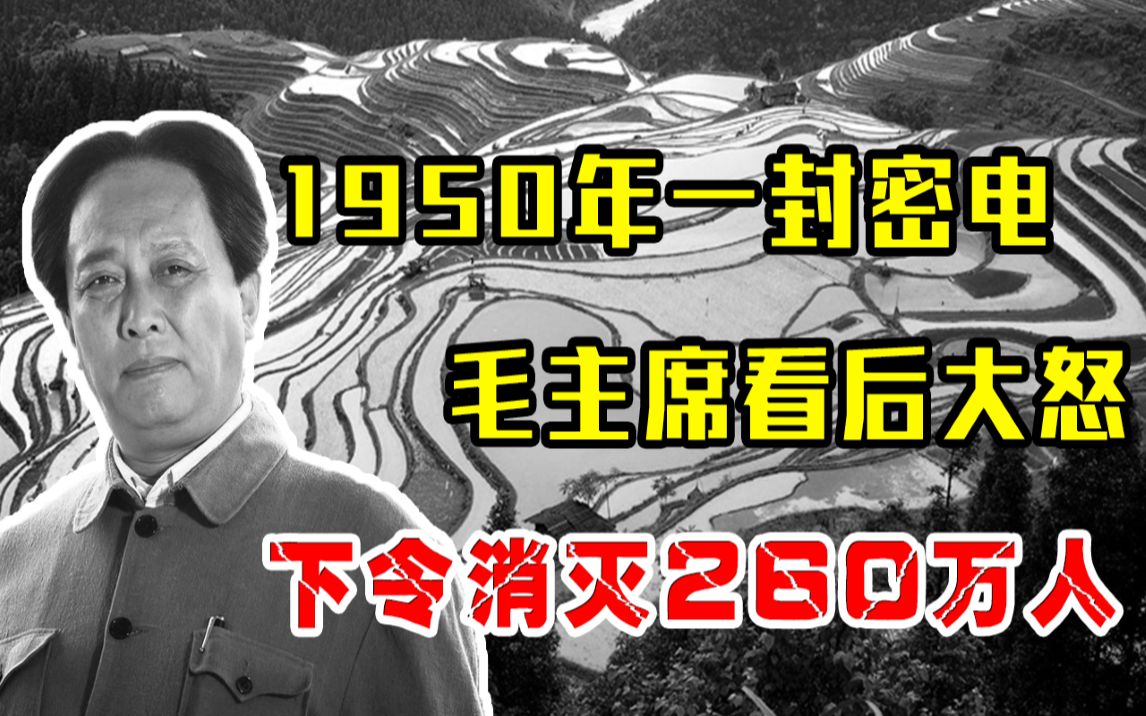 1950年一封密电,毛主席看后勃然大怒,随即下令消灭260万人哔哩哔哩bilibili