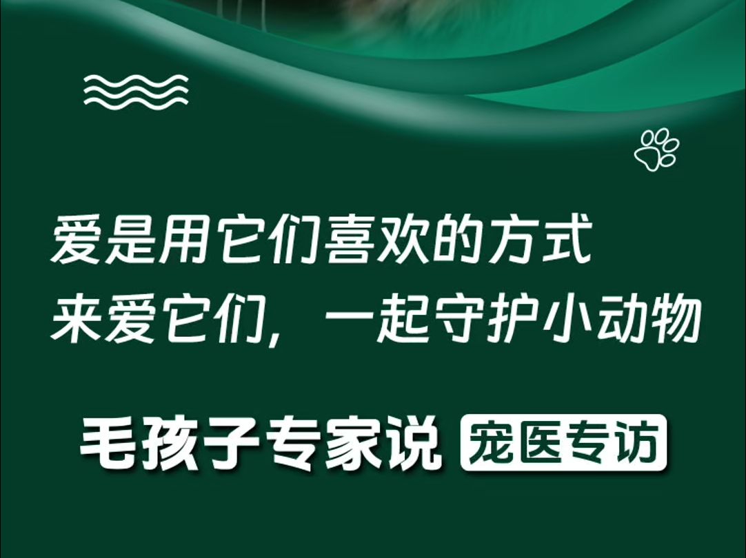 世界动物日,爱是用它们喜欢的方式,来爱它们,一起爱护我们的小伙伴.哔哩哔哩bilibili