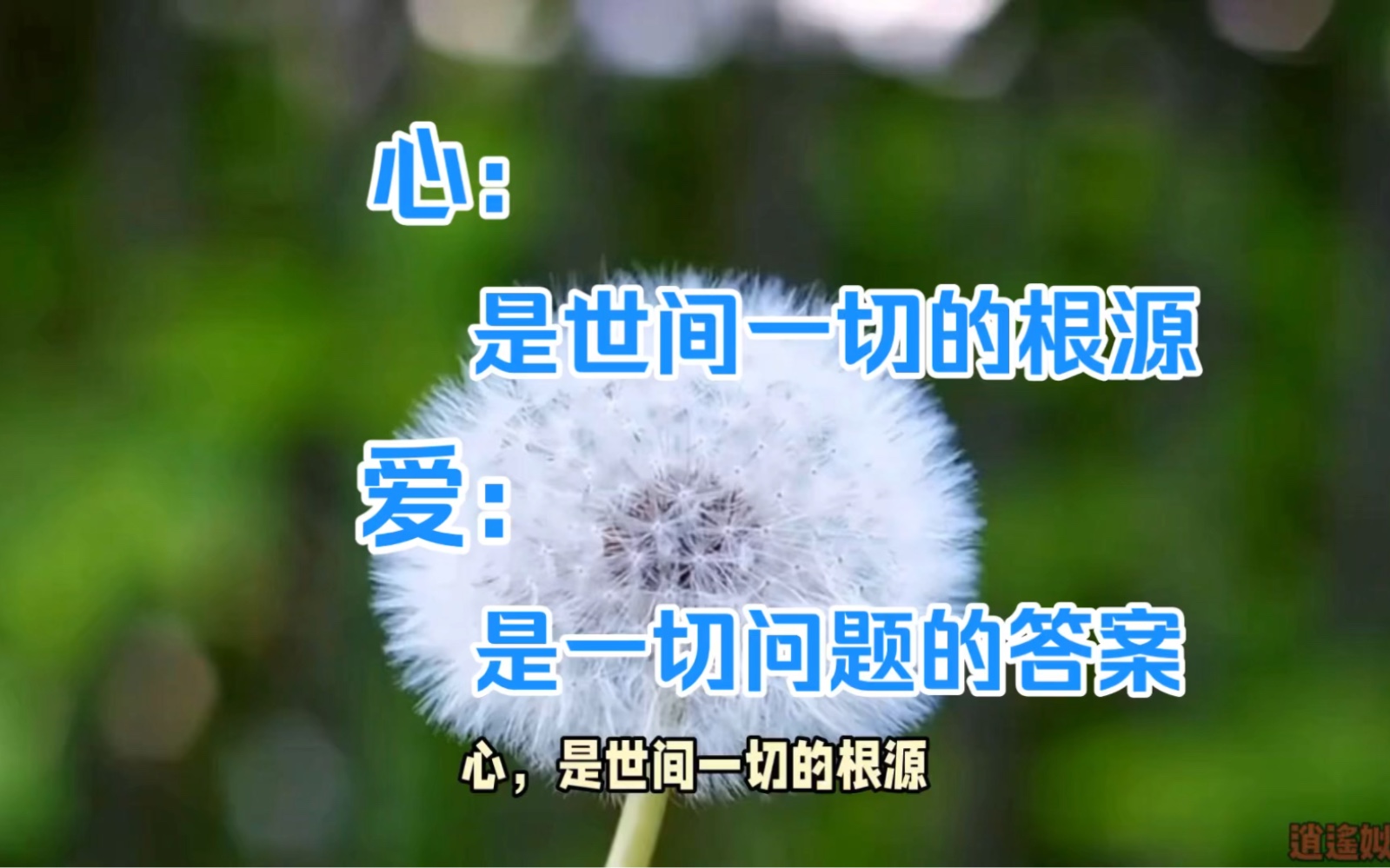 心是世间一切的根源;爱是一切问题的答案