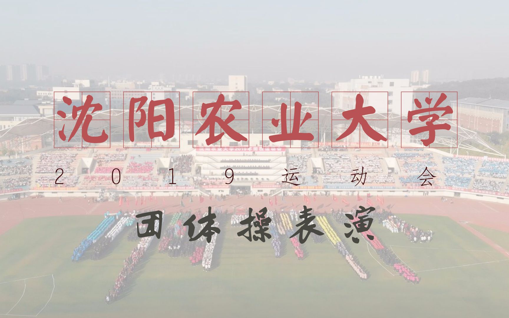 2019运动会团体操表演哔哩哔哩bilibili