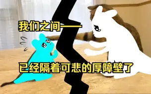 Descargar video: 【雨世界】未解之谜:猫崽如何独自通过业力门？