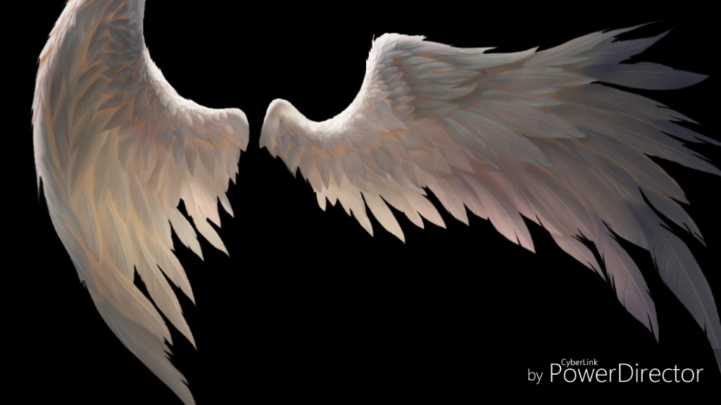 【定】羽翼叠加(耳机党注意一下下音量)_哔哩哔哩_bilibili