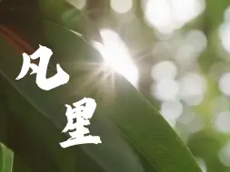 Descargar video: 《凡星》|“我心中的思政课”——第八届全国高校大学生微电影展示活动