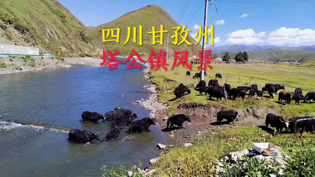 四川甘孜藏族自治州塔公镇风景欣赏