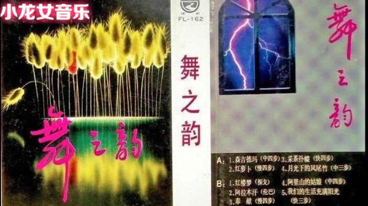 80年代迪斯科经典专辑《舞之韵》好听至极哔哩哔哩bilibili