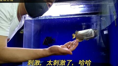 搜索 哔哩哔哩 つロ干杯 Bilibili