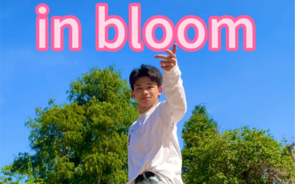 【林扬】元气男大的in bloom(zb1出道快乐!!)哔哩哔哩bilibili