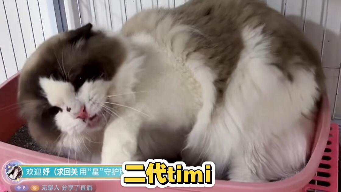 10.19《军训2》二丧把嘴哥嘉豪吓退！狗哥加入！_哔哩哔哩_bilibili