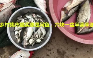 Download Video: 乡村露天集市河鱼河鲜多实惠，多到眼花缭乱，野生黄鳝遍地开花，一盆野生杂鱼六块钱