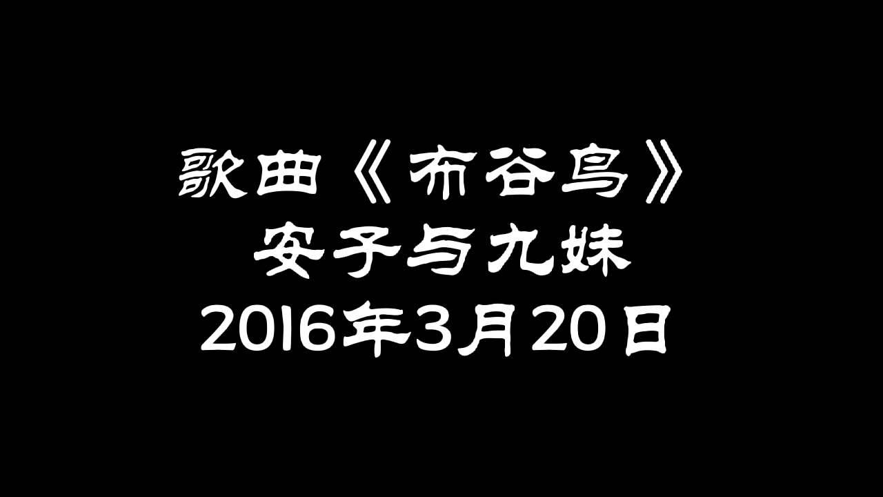 歌曲《布谷鸟》 安子与九妹 2016年3月20日哔哩哔哩bilibili