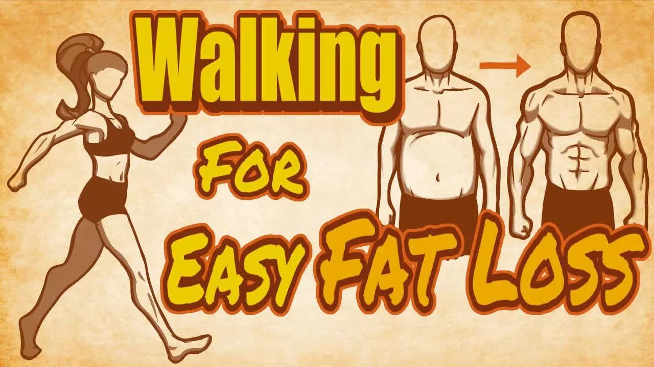 【训练学】最简单的健康运动方式徒步 || Easy BODY RECOMPOSITION and Health through Walking哔哩哔哩bilibili