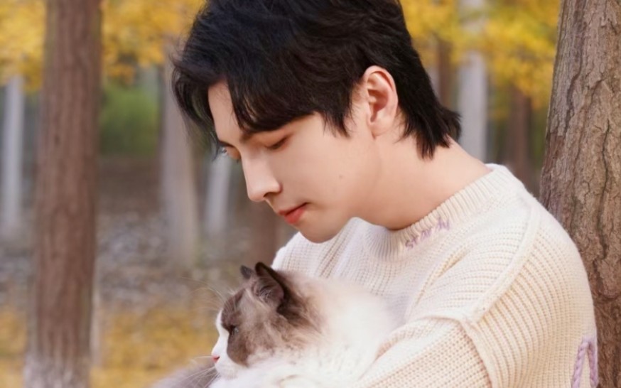 蒲熠星 秋日暖阳