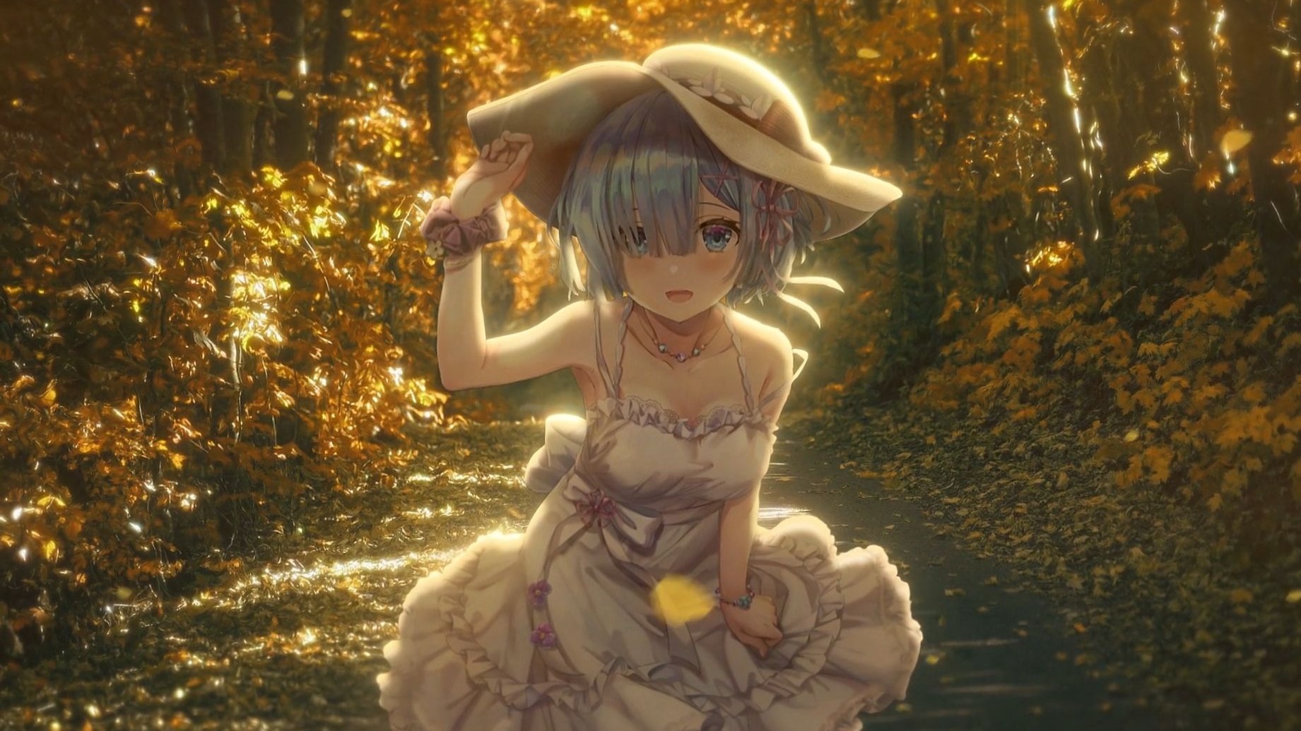 ae木偶初体验/雷姆
