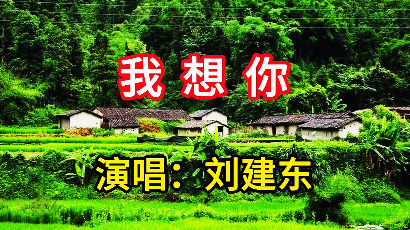 刘建东演唱《我想你》,粗犷豪迈的歌声,表达了对爱人的思念之情哔哩哔哩bilibili