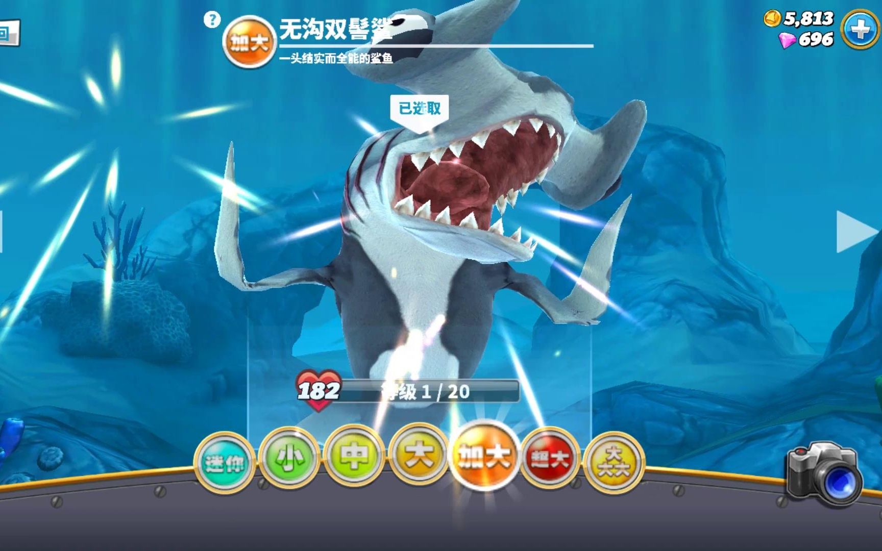 饥饿鲨世界:450钻石解锁无沟双鬓鲨,他是全能而结实的鲨鱼!