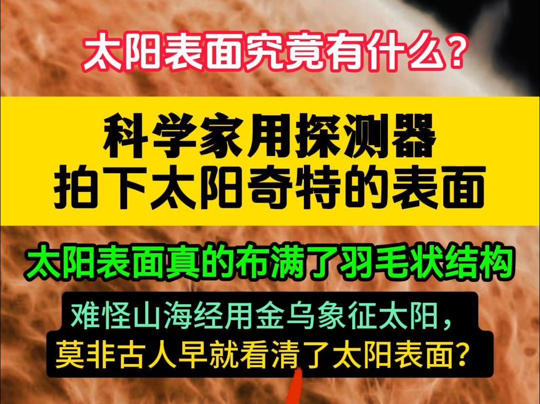 科学家发现太阳表面像羽毛!山海经提到的金乌,果然不是空穴来风.古人没有望远镜,为什么会对太阳表面那么清楚,用金乌鸟来象征太阳?山海经真的是...