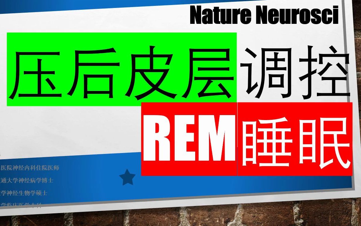 Nature Neurosci—压后皮层调控REM睡眠哔哩哔哩bilibili