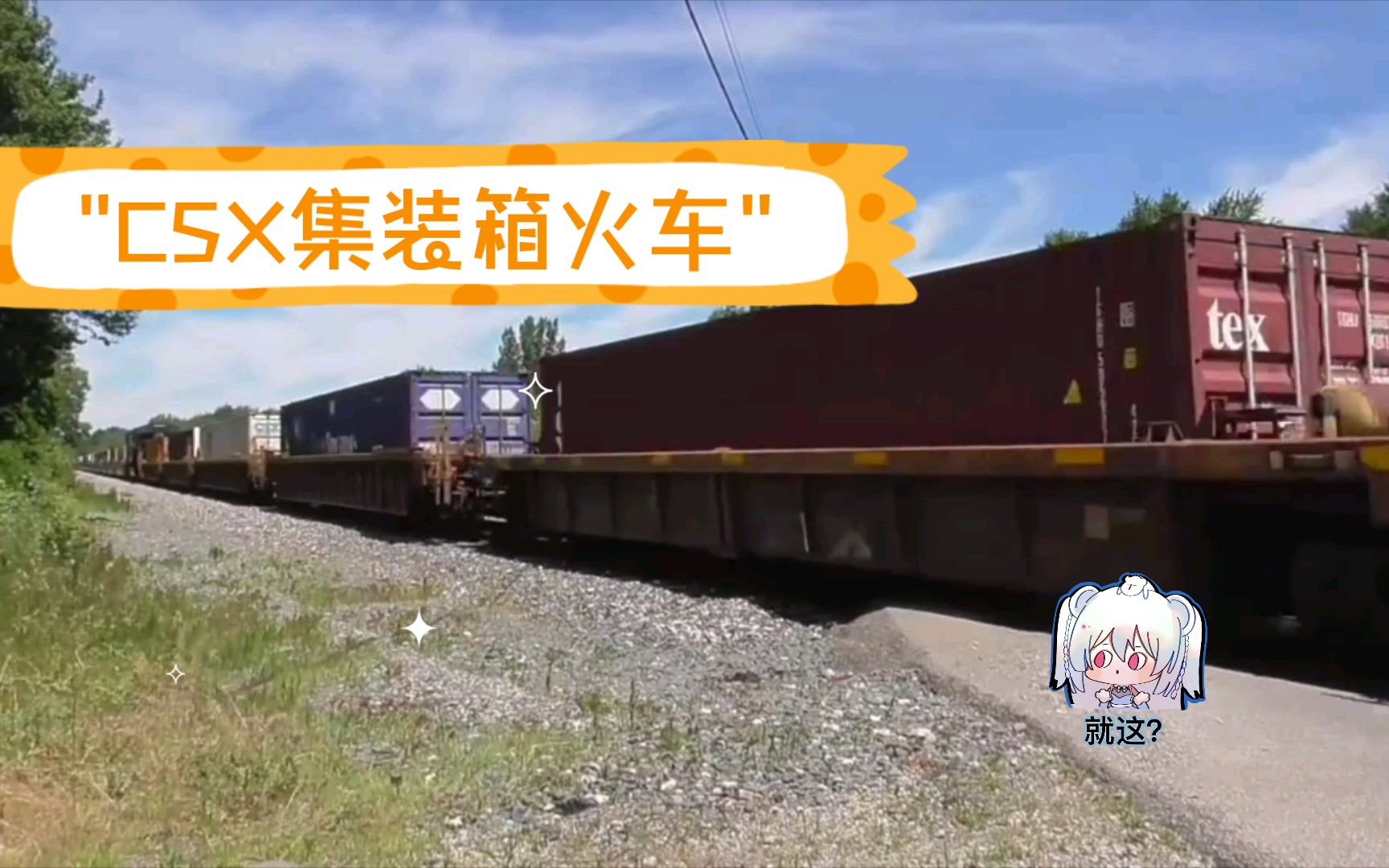 CSX集装箱火车哔哩哔哩bilibili