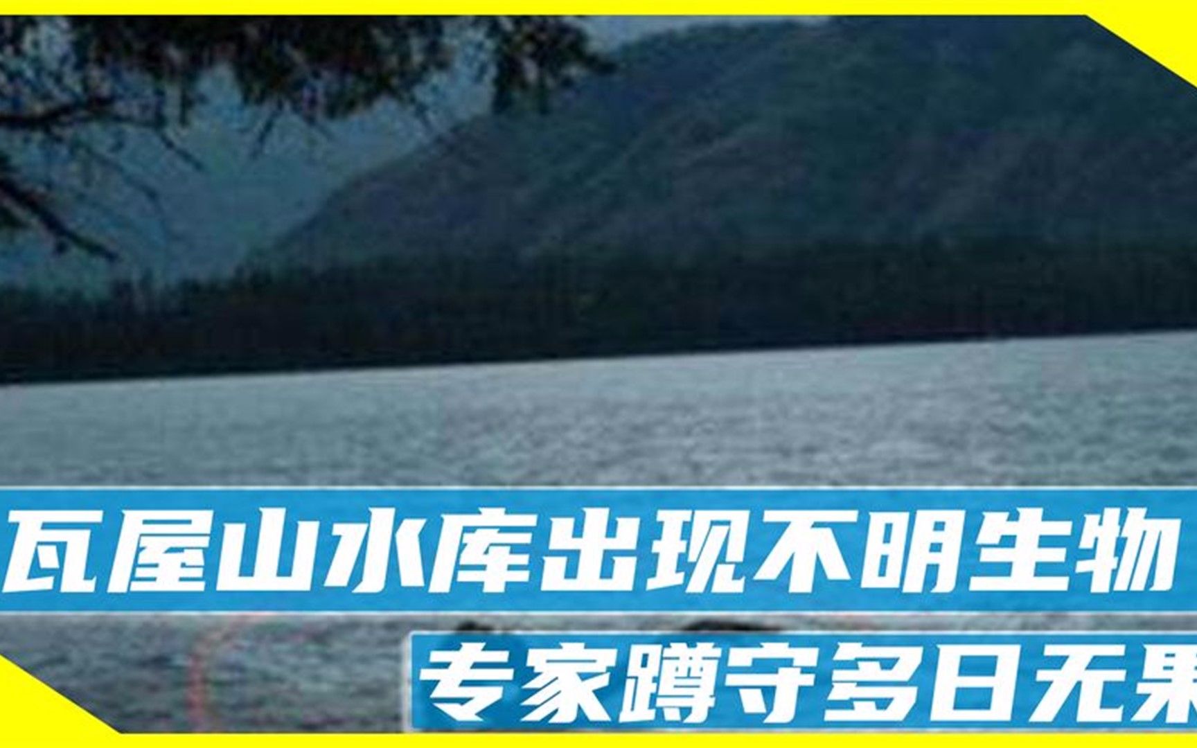 四川瓦屋山水库惊现神秘水怪,长达数十米,专家蹲守多日无果哔哩哔哩bilibili