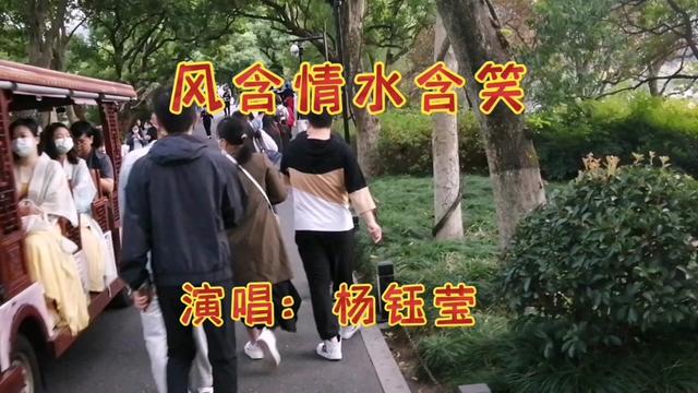 楊鈺瑩演唱《風含情水含笑》金典老歌,真是好聽至極,百聽不厭.