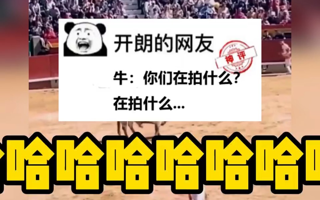 [图]牛：你在拍什么？