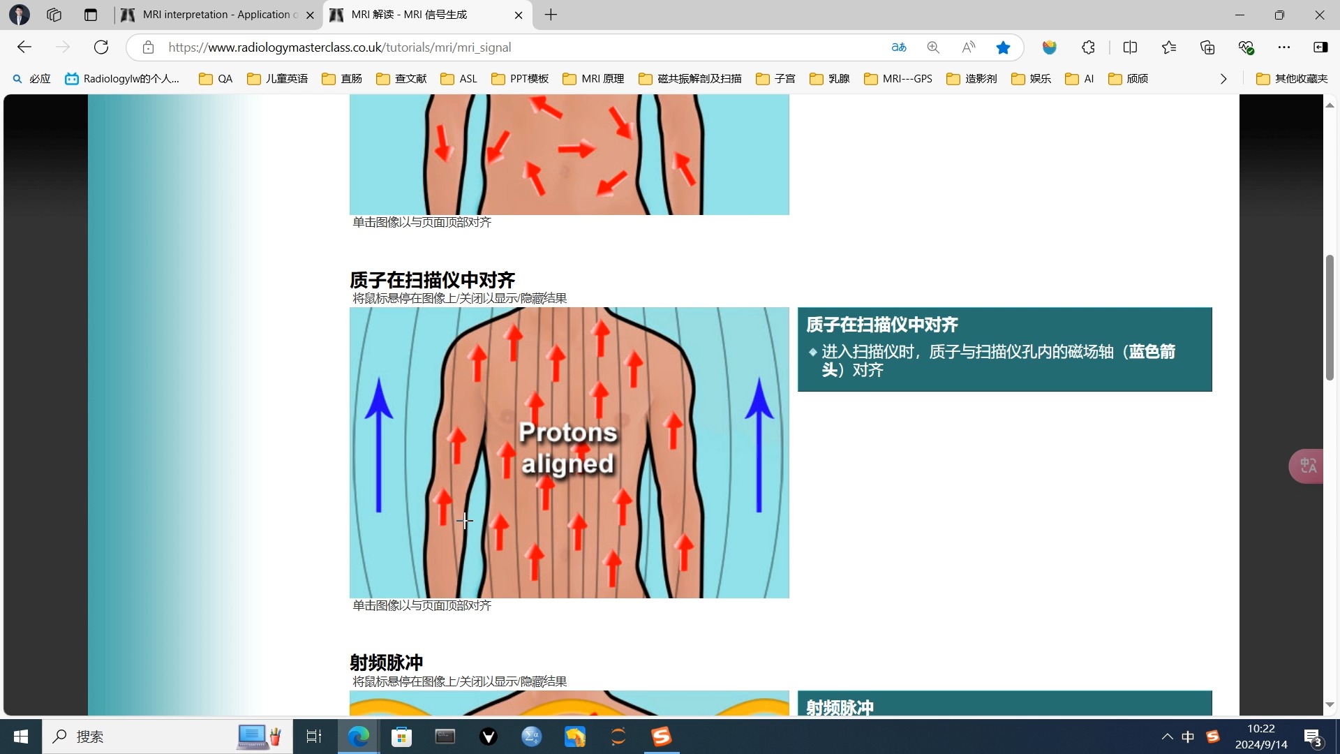 影像医生需要了解的磁共振成像基础(网站内容讲解:www.radiologymasterclass.com)哔哩哔哩bilibili