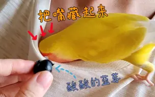 Download Video: 当gigi碰到不想吃的食物有多会躲