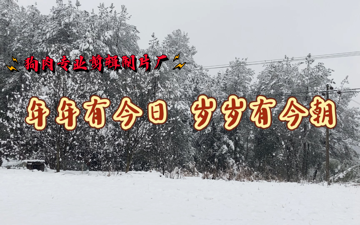 【狗毛蒜皮21】年年有今日 岁岁有今朝_哔哩哔哩_bilibili
