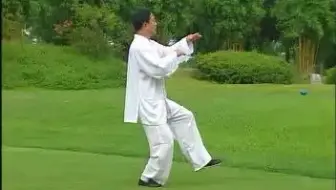 赵幼斌杨式太极拳基本功 哔哩哔哩 Bilibili