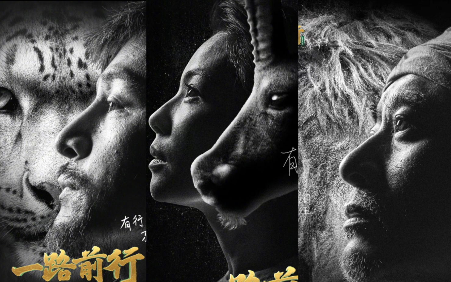 【胡歌 刘涛 陈龙】一路前行|定档11.11