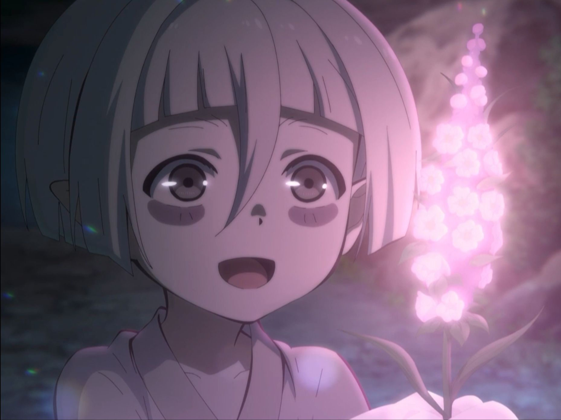 百妖谱里最弱妖怪,走着走着就死了,只为一个约定