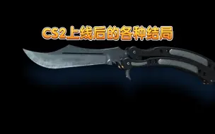 Descargar video: CS2上线后的各种结局