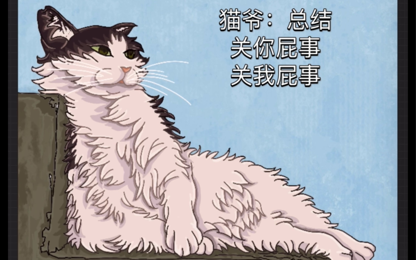 猫爷在线怼人,来呀!挠死你!