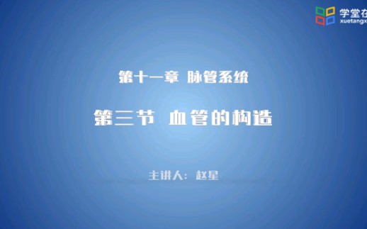 运动解剖学脉管系统血管的构造哔哩哔哩bilibili