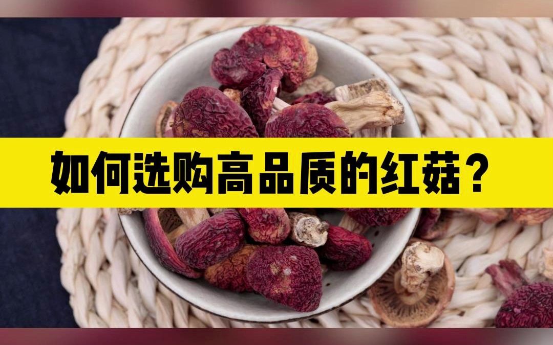 [图]如何选购高品质的红菇？红菇产地哪里的正宗？