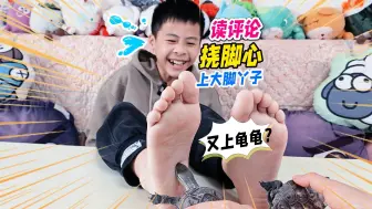 Download Video: 挑战挠脚心但是双脚？小乌龟大明二明一起上，布丁小仓鼠粽子还在