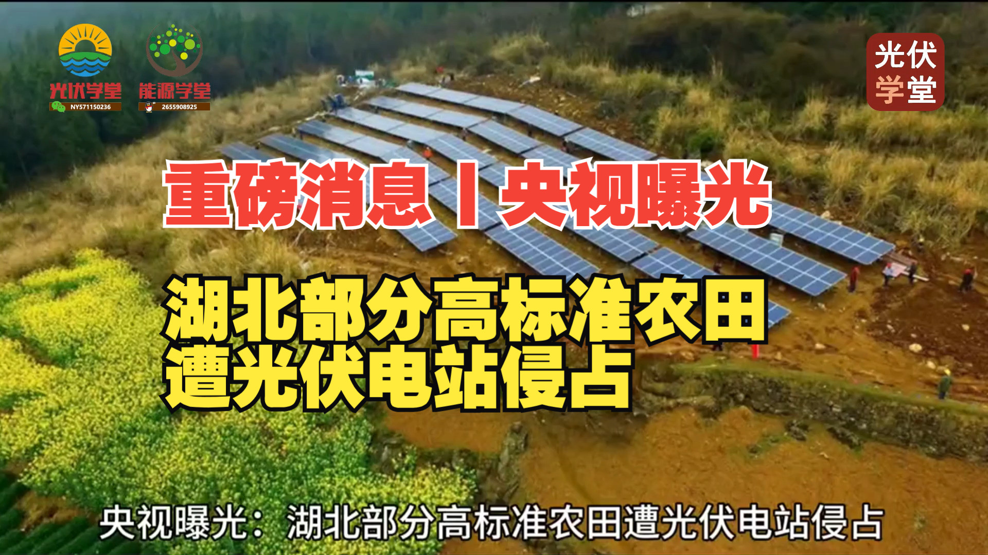 【重磅消息】央视曝光:湖北部分高标准农田遭光伏电站侵占哔哩哔哩bilibili