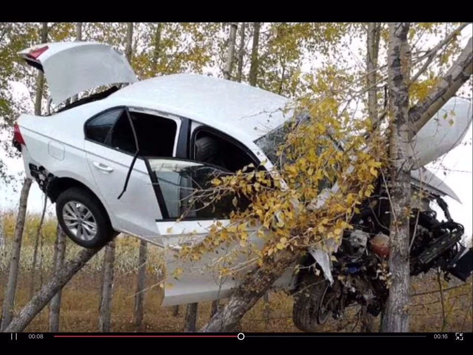 奇葩车祸2,带你看遍最搞笑的车祸